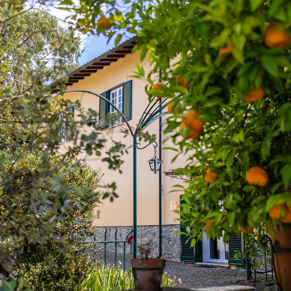 tenuta-inviolata-guest-house-velletri-roma-affittacamere-alloggio-dormire-pernottamento-piscina-foto-10